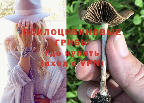 mix Пестово