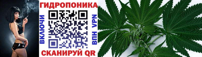Каннабис планчик  Вытегра 